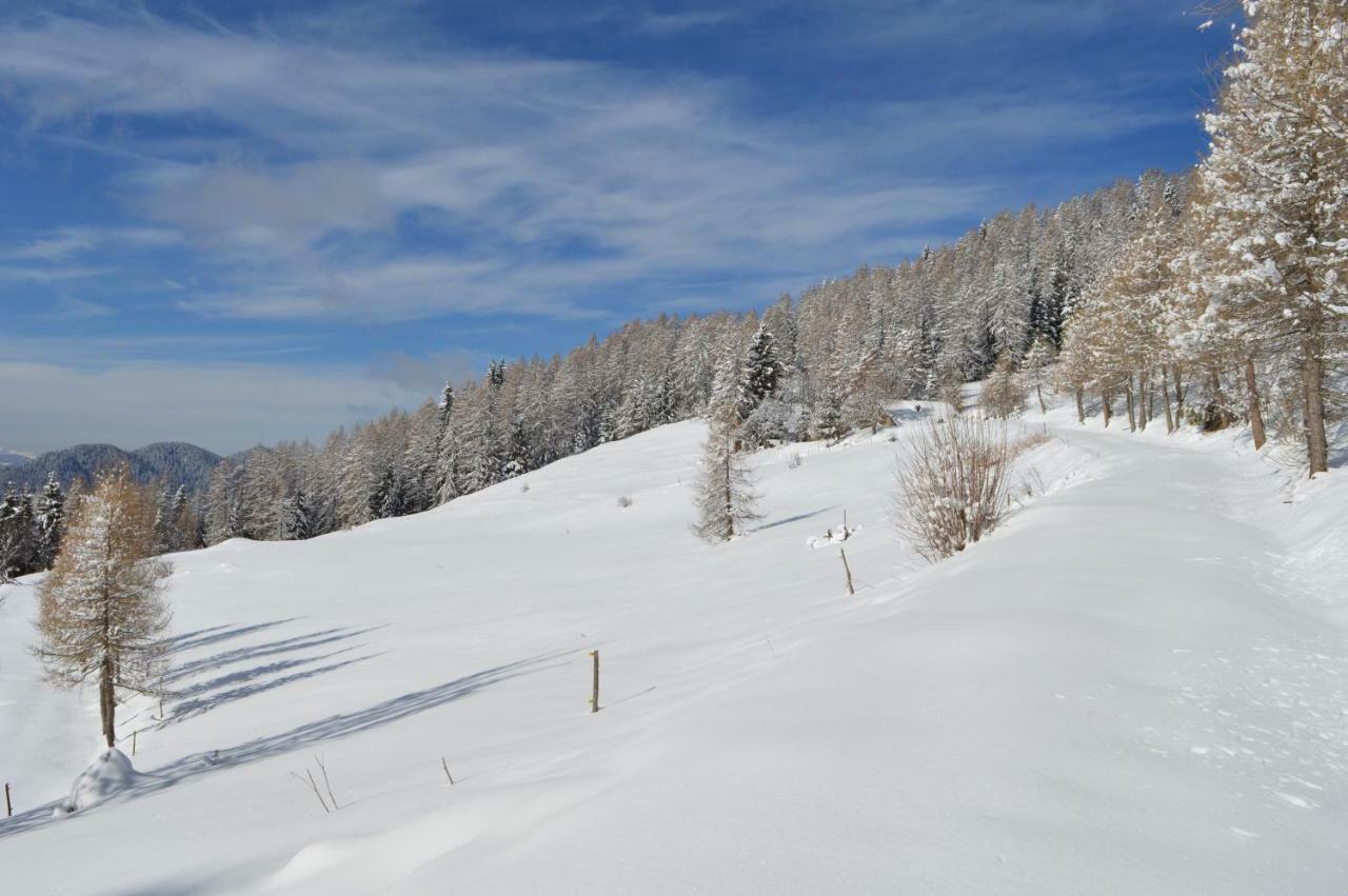 Chalet Serena Roncegno Dış mekan fotoğraf