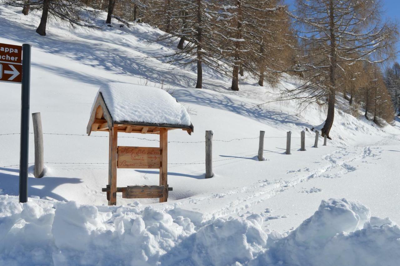 Chalet Serena Roncegno Dış mekan fotoğraf
